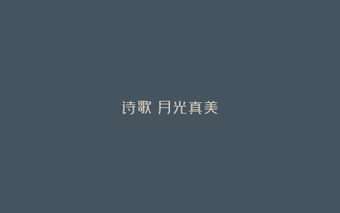 诗歌：月光真美