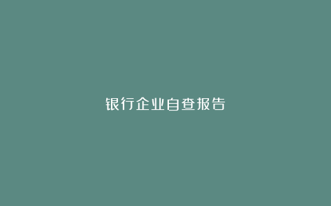 银行企业自查报告