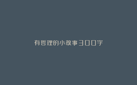 有哲理的小故事300字