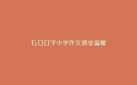 600字小学作文感受温暖