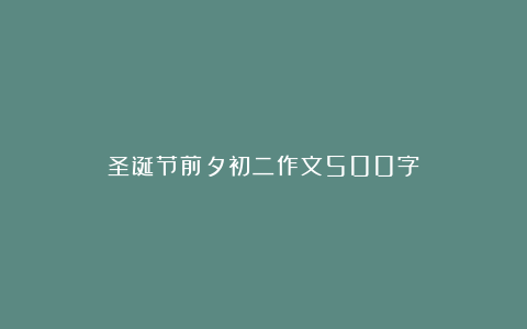 圣诞节前夕初二作文500字