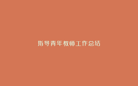 指导青年教师工作总结