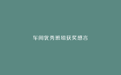 车间优秀班组获奖感言