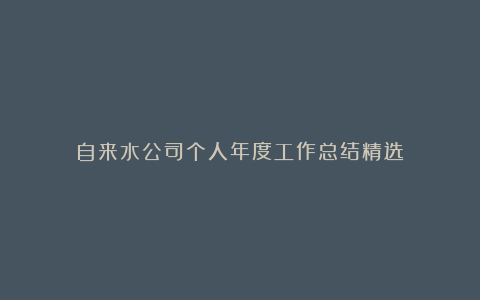 自来水公司个人年度工作总结精选