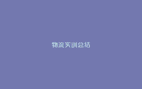 物流实训总结