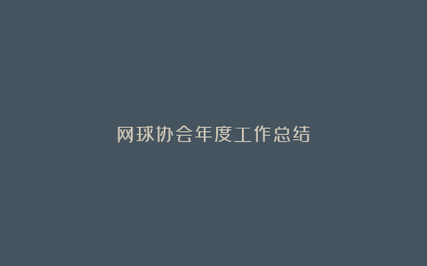 网球协会年度工作总结