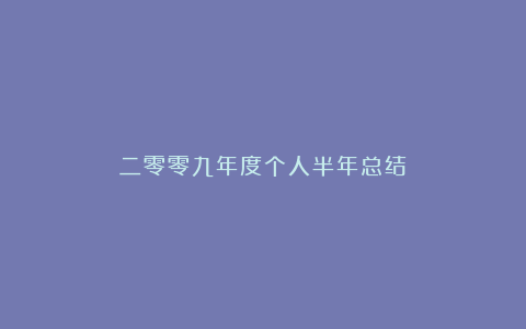 二零零九年度个人半年总结