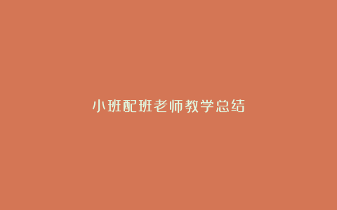 小班配班老师教学总结