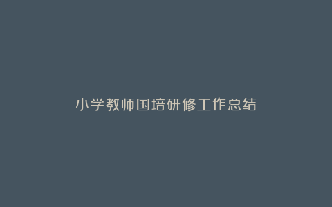 小学教师国培研修工作总结