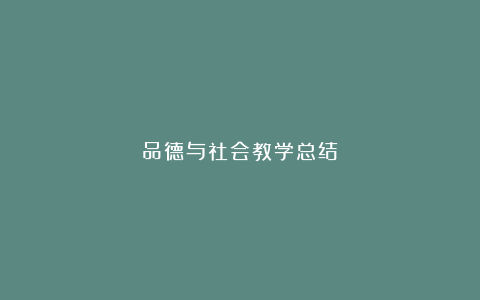 品德与社会教学总结