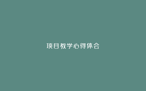 项目教学心得体会