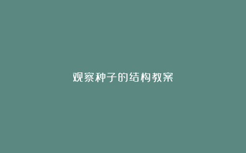 观察种子的结构教案