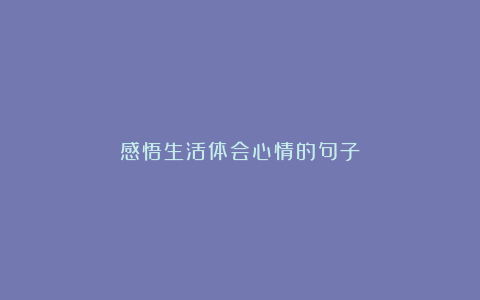 感悟生活体会心情的句子