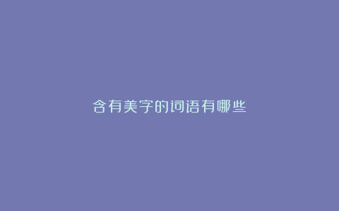 含有美字的词语有哪些