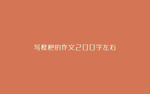 写枇杷的作文200字左右