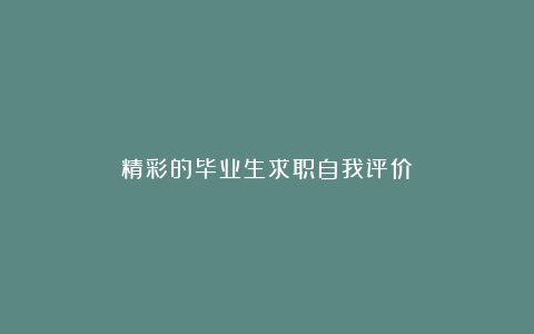 精彩的毕业生求职自我评价