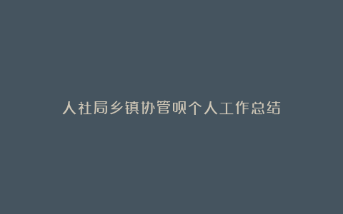 人社局乡镇协管员个人工作总结