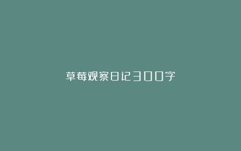 草莓观察日记300字