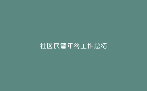 社区民警年终工作总结