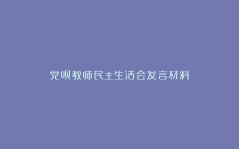 党员教师民主生活会发言材料