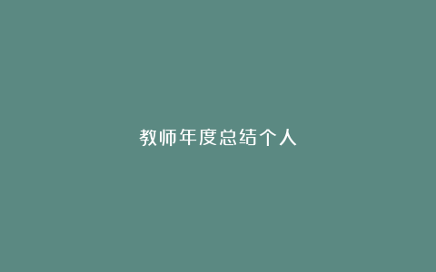 教师年度总结个人