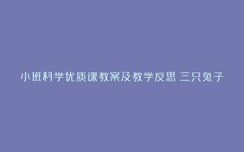 小班科学优质课教案及教学反思《三只兔子和彩虹》