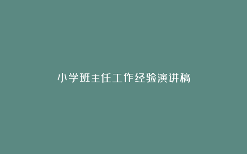 小学班主任工作经验演讲稿