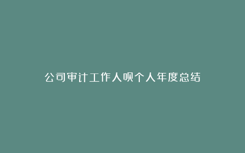 公司审计工作人员个人年度总结