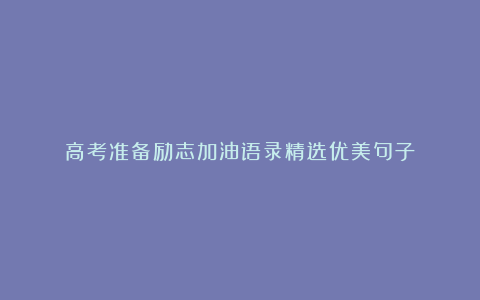 高考准备励志加油语录精选优美句子