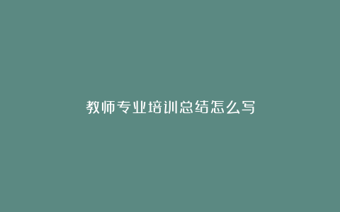 教师专业培训总结怎么写