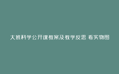 大班科学公开课教案及教学反思《看实物图编题》