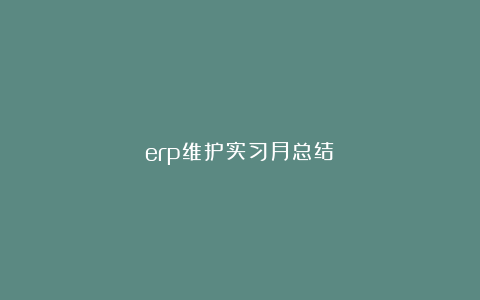 erp维护实习月总结