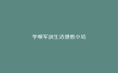 学员军训生活感悟小结