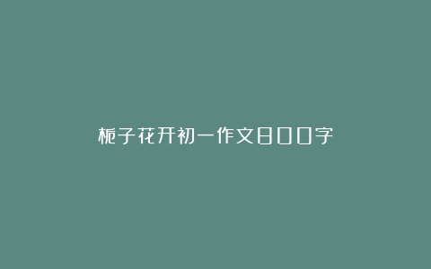 栀子花开初一作文800字