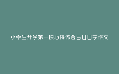 小学生开学第一课心得体会500字作文