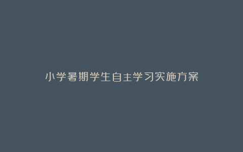 小学暑期学生自主学习实施方案