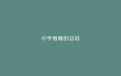 小学教师的总结