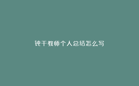 骨干教师个人总结怎么写？