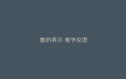 《数的表示》教学反思