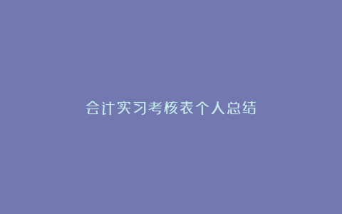 会计实习考核表个人总结