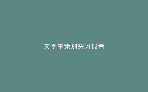 大学生策划实习报告