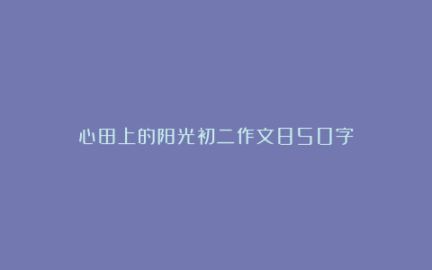 心田上的阳光初二作文850字