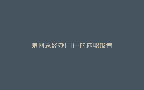 集团总经办PIE的述职报告