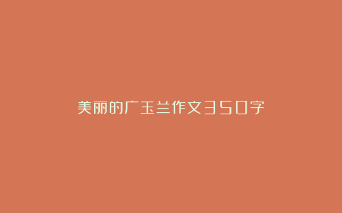 美丽的广玉兰作文350字