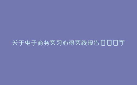 关于电子商务实习心得实践报告800字