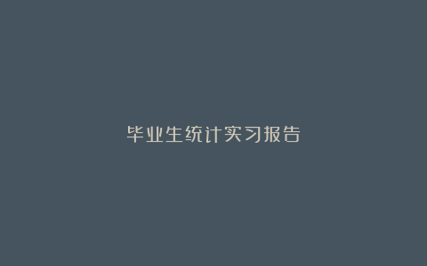 毕业生统计实习报告