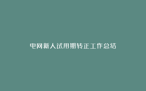 电网新人试用期转正工作总结