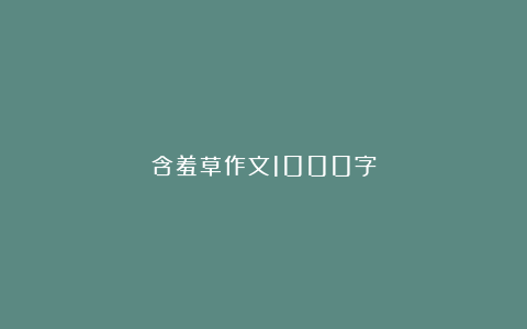 含羞草作文1000字