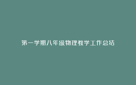 第一学期八年级物理教学工作总结