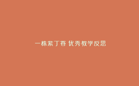 《一株紫丁香》优秀教学反思